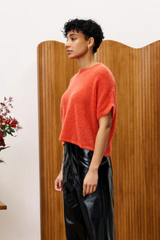 Rouge Short Sleeve Knit Diamond Sweater