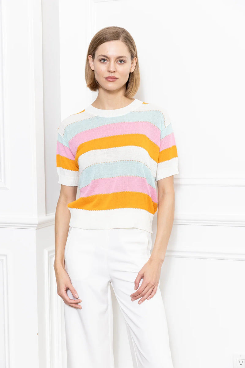 Multi Color Stripe Sweater