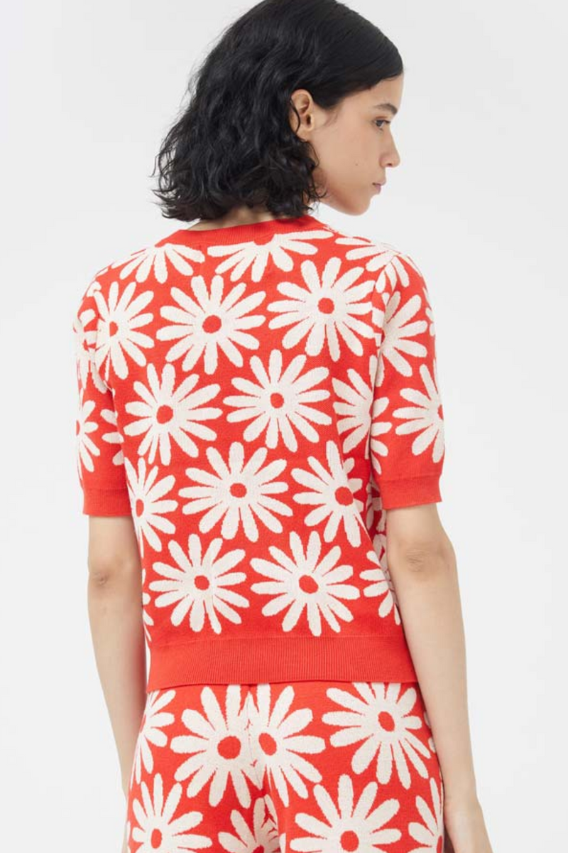 Red/White Daisy Print Knitted Sweater