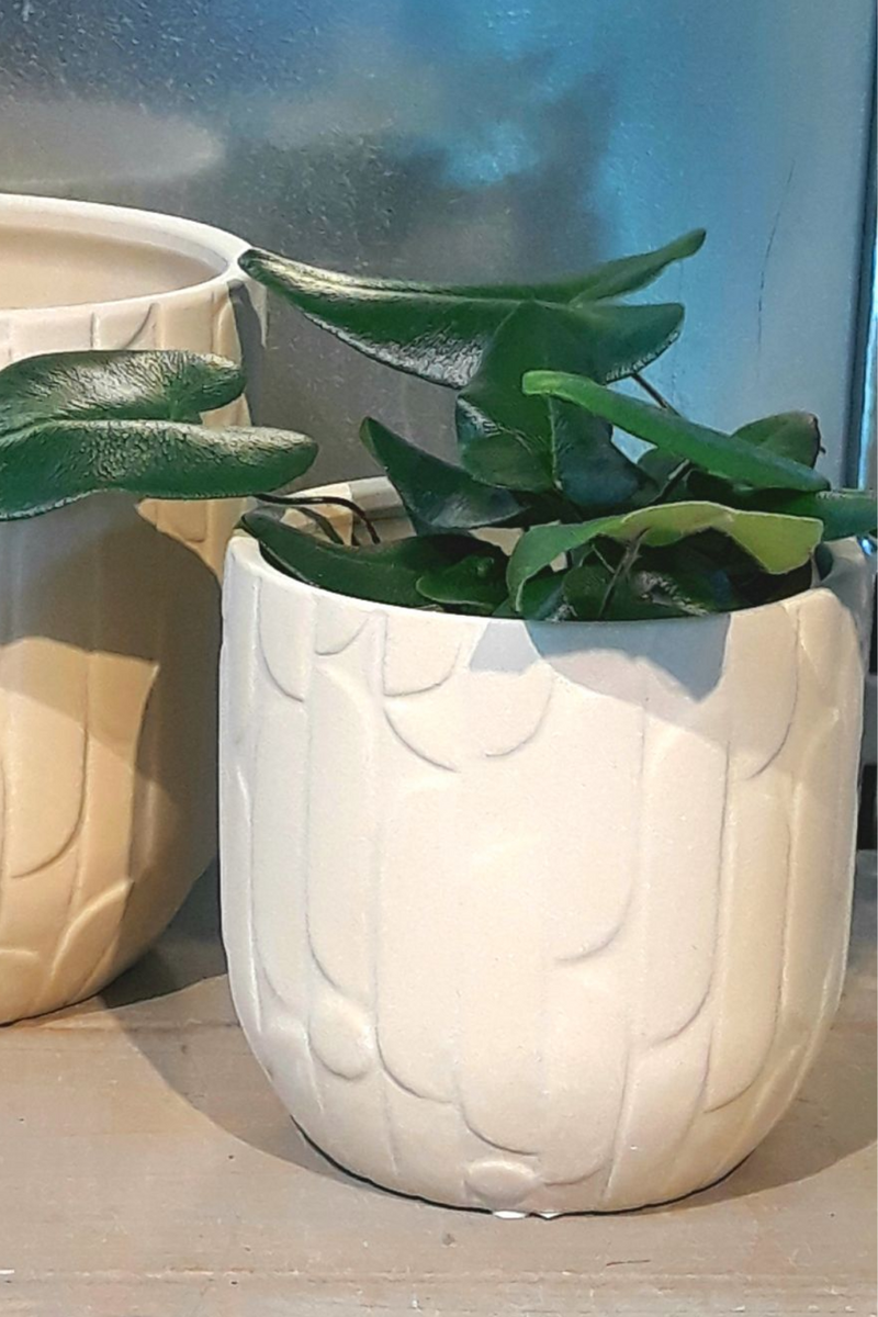 Sand Thayer Pot