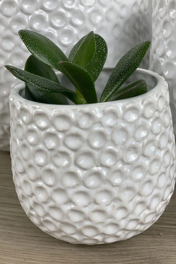 White/Mix Small Dot Ceramic Ginny Pot