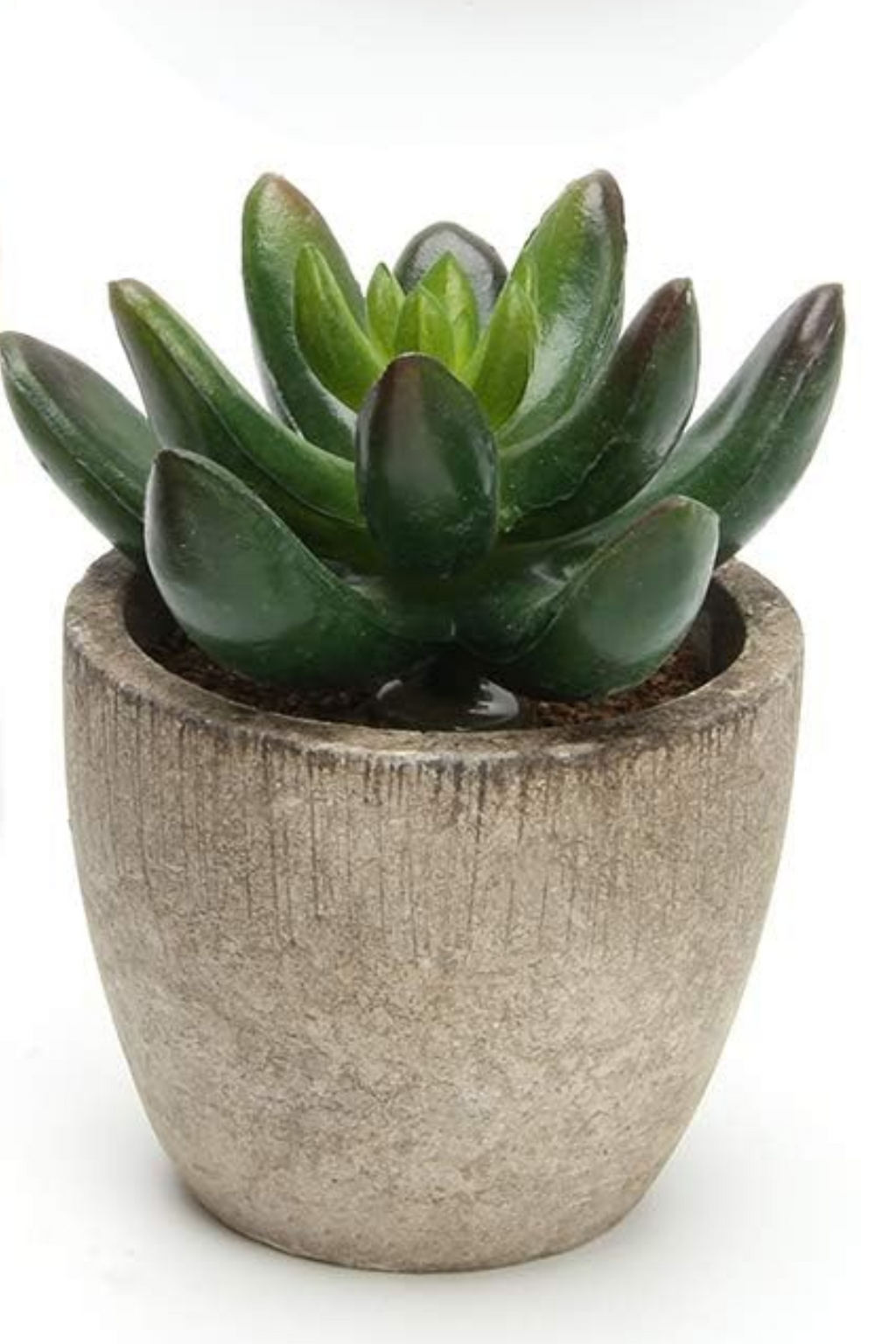 small faux succulent plants Mini Faux Succulent Plants