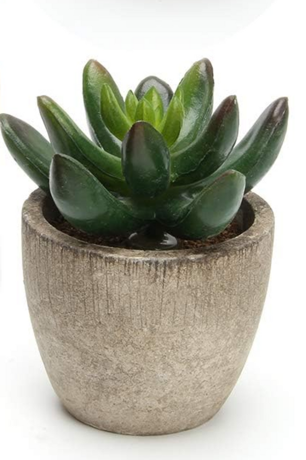 Mini Faux Succulent Plants