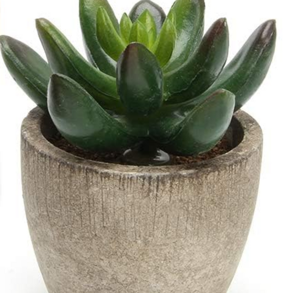 artificial succulent pots Mini Faux Succulent Plants – April Blooms