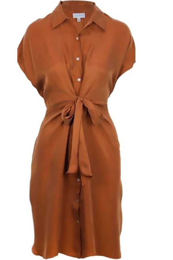 Rust Fern Front Tie Dress