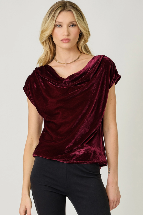 Wine Velvet Cowl Neck Short Sleeve Top