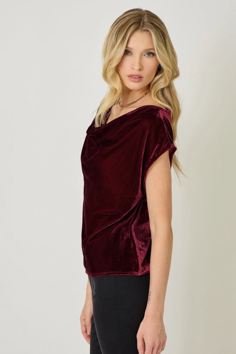 Wine Velvet Cowl Neck Short Sleeve Top