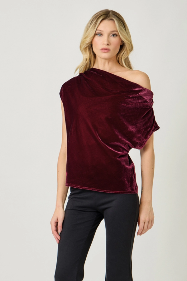 Wine Velvet Cowl Neck Short Sleeve Top
