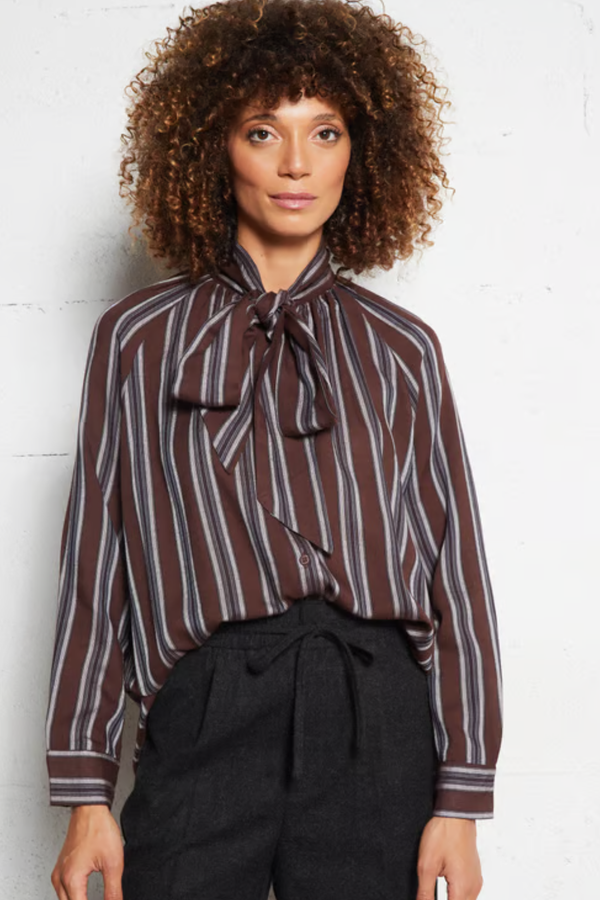 Brown and Blue Stripe Tie Front Long Sleeve Top