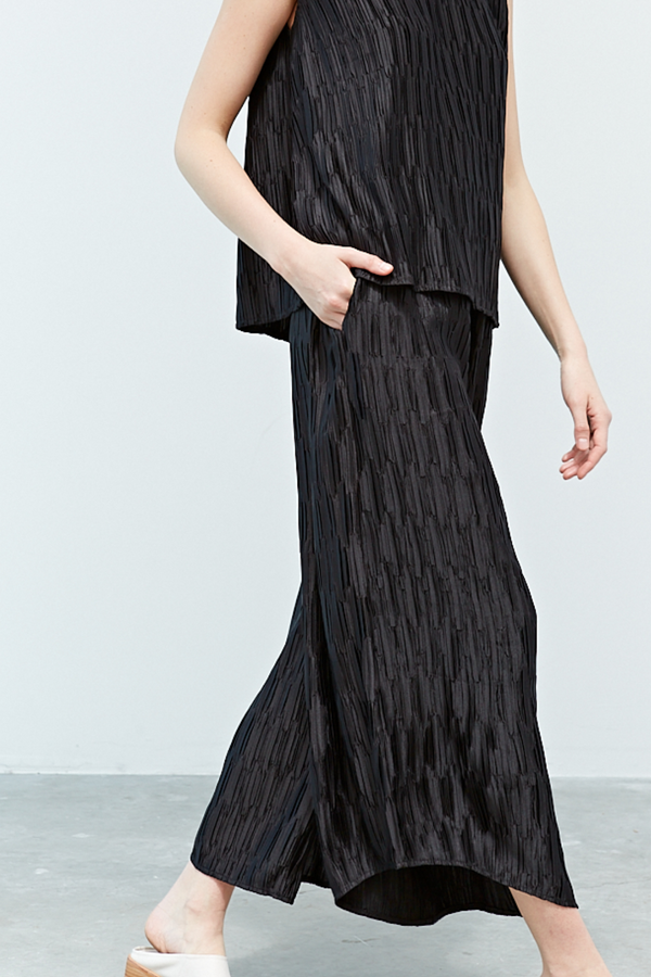 Black Double Pleated Pant